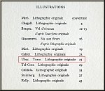 Raoul Ubac: 'Torso' Original-Lithographie fr Maeght und Redfern, 1966, Aktstudie in Schiefergrau - Werke