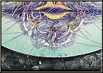 Bernhard Jger: 'Im Oval' 1974 Original-Lithographie, signiert, Gesicht, Muskel-, Nerven- und Gedankenstrnge